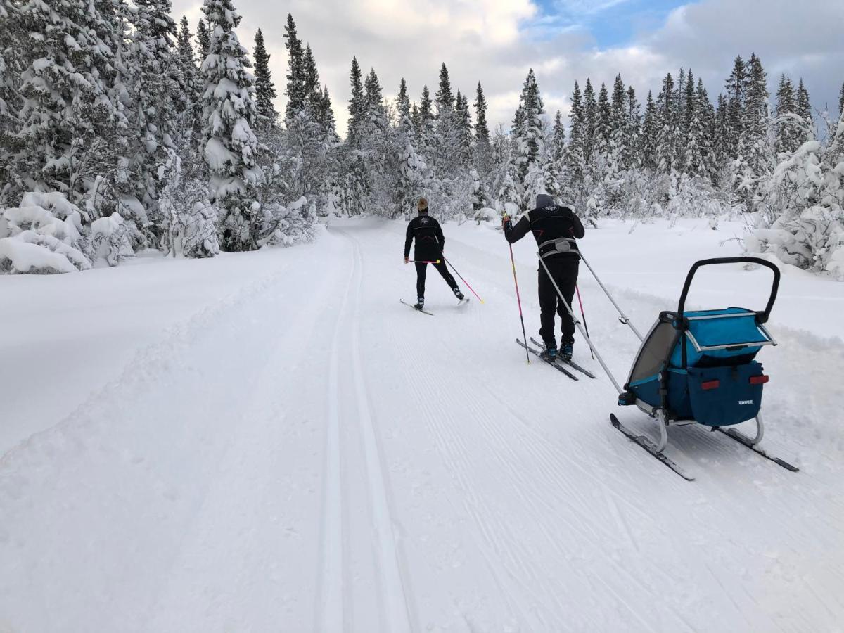 Karolinen Stugor & Laegenheter Åre Extérieur photo